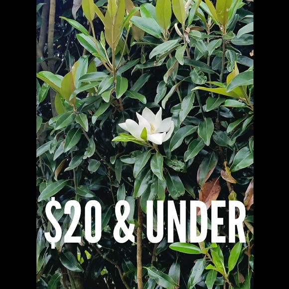 $20 & UNDER - Picture 1 of 1